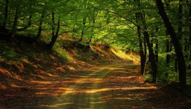 Horóscopo do dia: previsões de hoje (26/01) para os signos - Reconsidere seus caminhos