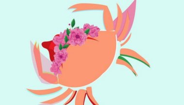 Guia Astrológico para 2017 para o signo de Câncer