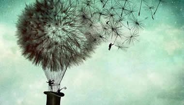 Não deixe a sua brisa passar