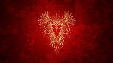 Horóscopo Chinês: combinações do signo de Touro