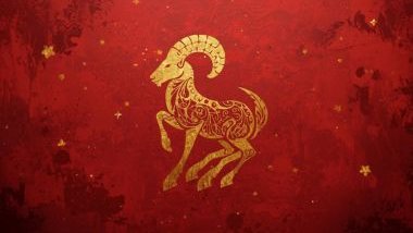 Horóscopo Chinês: combinações do signo de Capricórnio