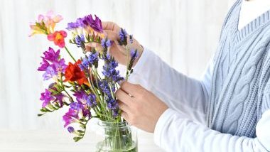 Melhorando a saúde com o auxílio da Terapia Floral