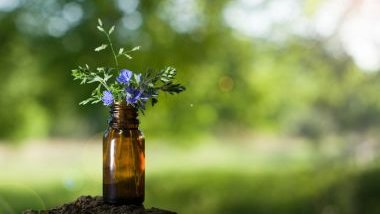 Melhore sua comunicação com o uso das essências florais