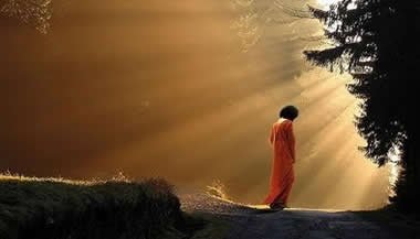 Terapia do sonho dirigido: Mente serena