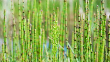 Beleza também cura – Parte 4