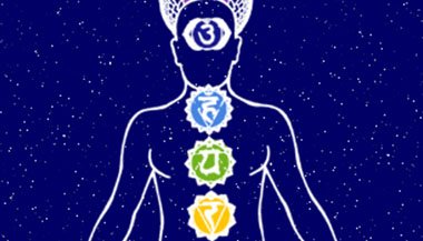 Um diferente conceito anatômico e funcional do ser humano