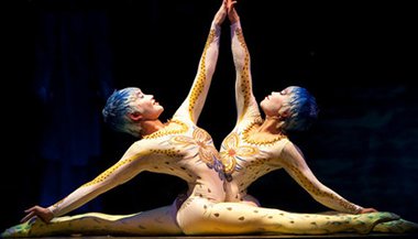 Viaje nos melhores circos do mundo