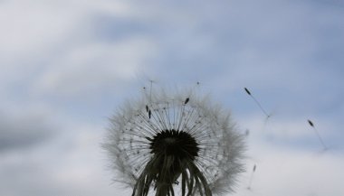 Horóscopo do dia: previsões de hoje (07/09) para os signos - Desprenda-se do passado