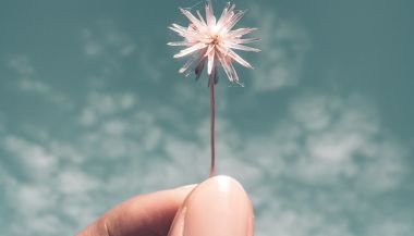 Horóscopo do dia: previsões de hoje (17/03) para os signos - Valorize a simplicidade