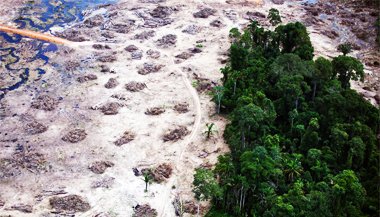 O ser humano em destruição