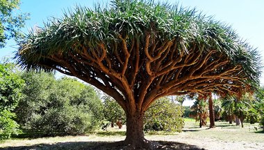 Beleza também cura – Parte 6