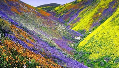 Equinócio de primavera - hemisfério sul