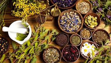 Cura por meio das ervas, de acordo com o Zodíaco