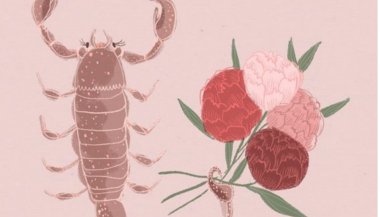 Guia astrológico de 2017 para Escorpião