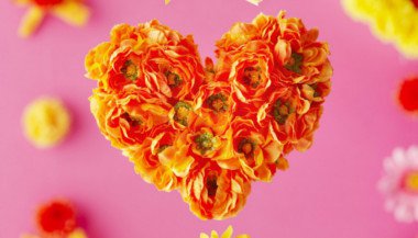 Fortalecendo os laços afetivos com as essências florais