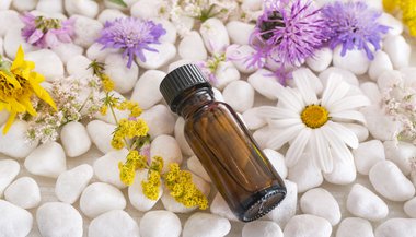 Essências florais para momentos difíceis