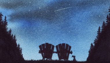 Como não perder a passagem de uma estrela cadente