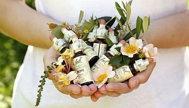 Tudo sobre os florais de Saint Germain