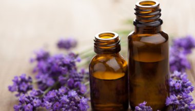 A Terapia Floral como coadjuvante no tratamento das dores físicas