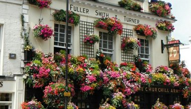 O uso da Terapia Floral nos ambientes