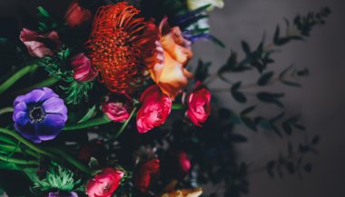 A planta que reflete a personalidade do seu signo