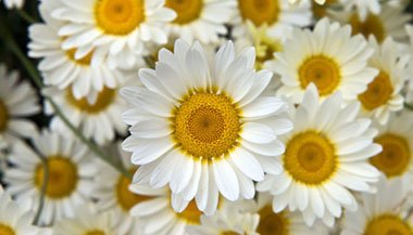 Beleza também cura - Parte 1