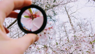 Foque no que você realmente deseja