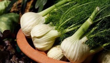 Funcho: significado, propriedades e benefícios