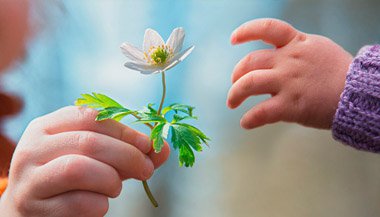Gratidão: Você já agradeceu hoje?
