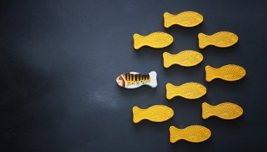 Horóscopo do dia de hoje (05/05/2024): previsões dos signos para domingo