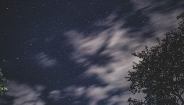 Horóscopo do dia: previsões de hoje (16/02) para todos os signos - Respeite as regras