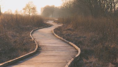 Horóscopo do dia: previsões de hoje (15/07) para todos os signos - Aprenda a desapegar e soltar