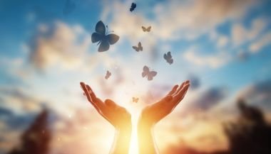 Horóscopo do dia de hoje (21/06): previsões dos signos para sexta-feira