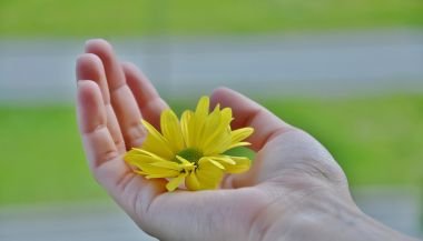 Horóscopo do dia de hoje (28/04/2024): previsões dos signos para domingo