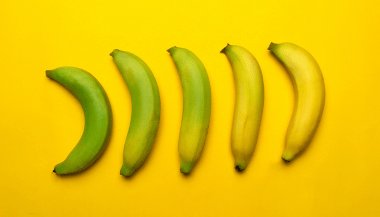 Horóscopo do dia de hoje (21/03/2024): previsões dos signos para quinta-feira