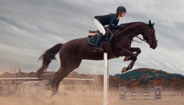 Horóscopo do dia: previsões de hoje (19/12) para os signos - Assuma as rédeas