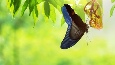 Horóscopo Semanal de 26 de junho a 2 de julho de 2023