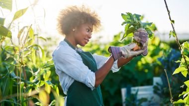 15 atitudes sustentáveis e ecológicas