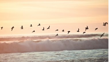 Você conhece a liberdade?