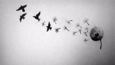 As pessoas livres são leves