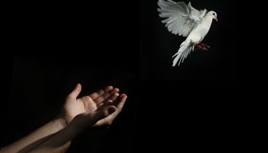 Horóscopo do dia: previsões de hoje (25/11) para os signos - Libertações acontecem