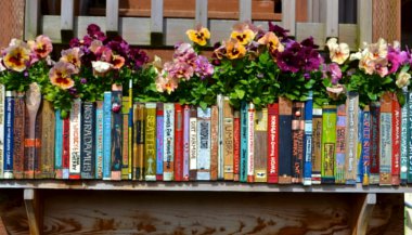 Como as essências florais podem auxiliar no início da vida escolar