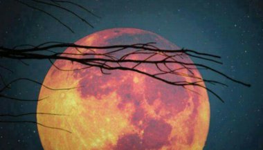 A intenção presente em cada Lua