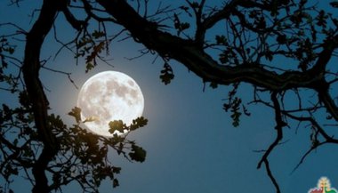 Os signos na Lua cheia