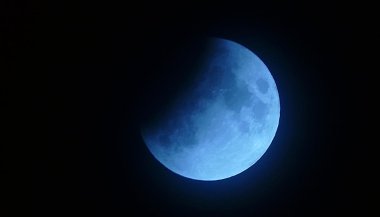 Luas e movimentações de novembro 2024