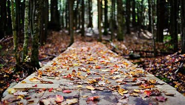 O materialismo e a evolução da consciência