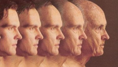 Maturidade e envelhecimento