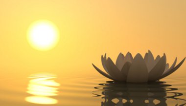 Como a meditação pode beneficiar o seu corpo?