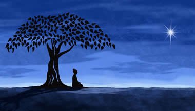 Um visão sobre a matéria