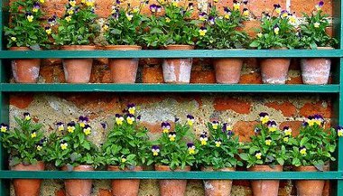 Deixe sua casa mais verde com um minijardim